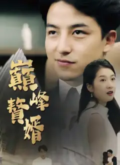 巔峰贅婿