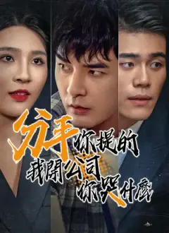 分手你提的,我開公司你哭什麽