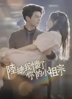 陸總,我懷了你的小祖宗