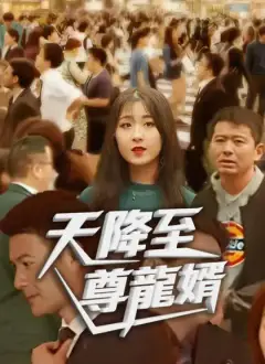 天降至尊龍婿