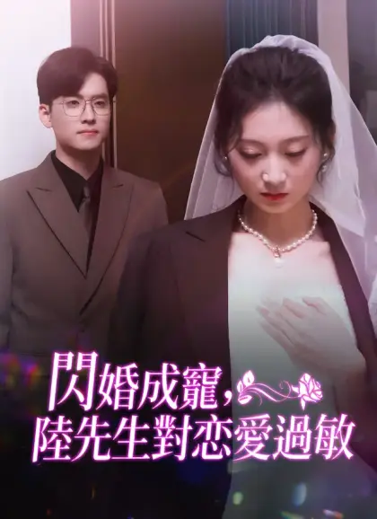 閃婚成寵,陸先生對戀愛過敏