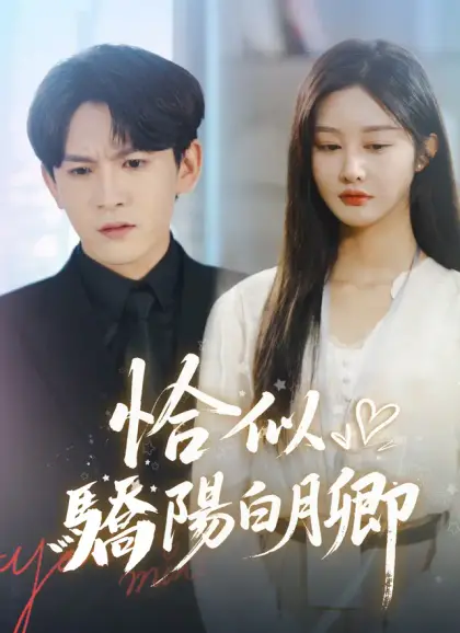 恰似驕陽白月卿