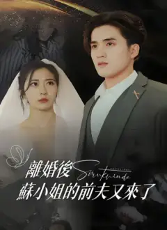 離婚後,蘇小姐的前夫又來了
