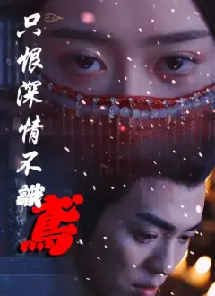 只恨深情不識鳶