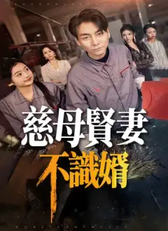 慈母賢妻不識婿
