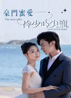 豪門蜜愛：冷少心尖寵