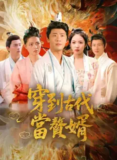 穿到古代當贅婿